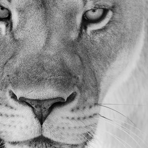 Meet your Posher, Marsha